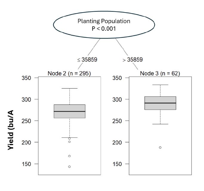 corn planting population vs yield