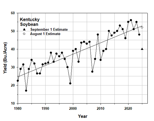 Kentucky soybean yield graph from 1980 to 2025. Increases with time. University of Kentucky.