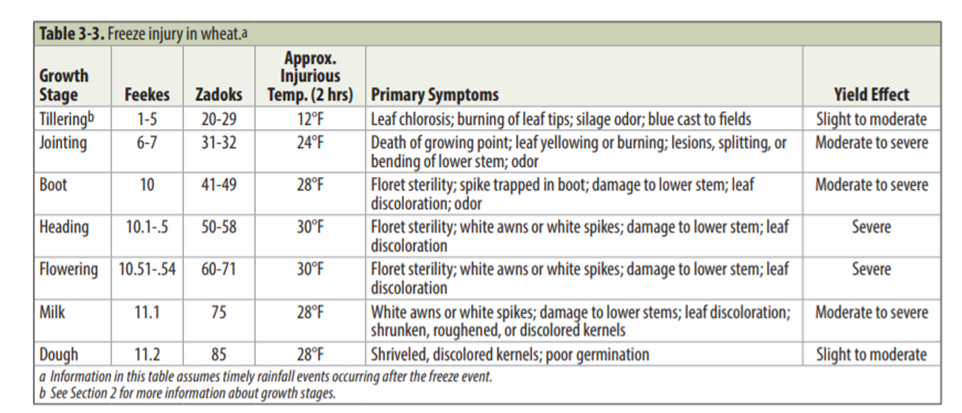 table of freeze damage to wheat by growth stage. University of Kentucky.