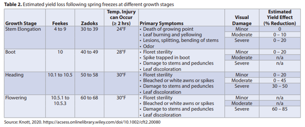 wheat yield loss due to freeze injury table - University of Kentucky