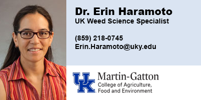 Erin Haramoto, University of Kentucky