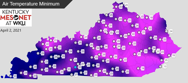 Mesonet map image of Kentucky temperatures